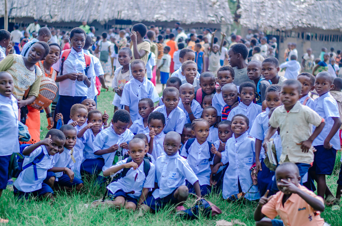 The Global Education Gap: Why Access Matters